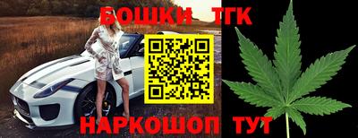 шишки Будённовск