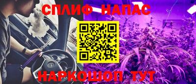 шишки Будённовск
