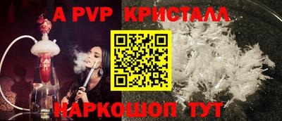 шишки Будённовск