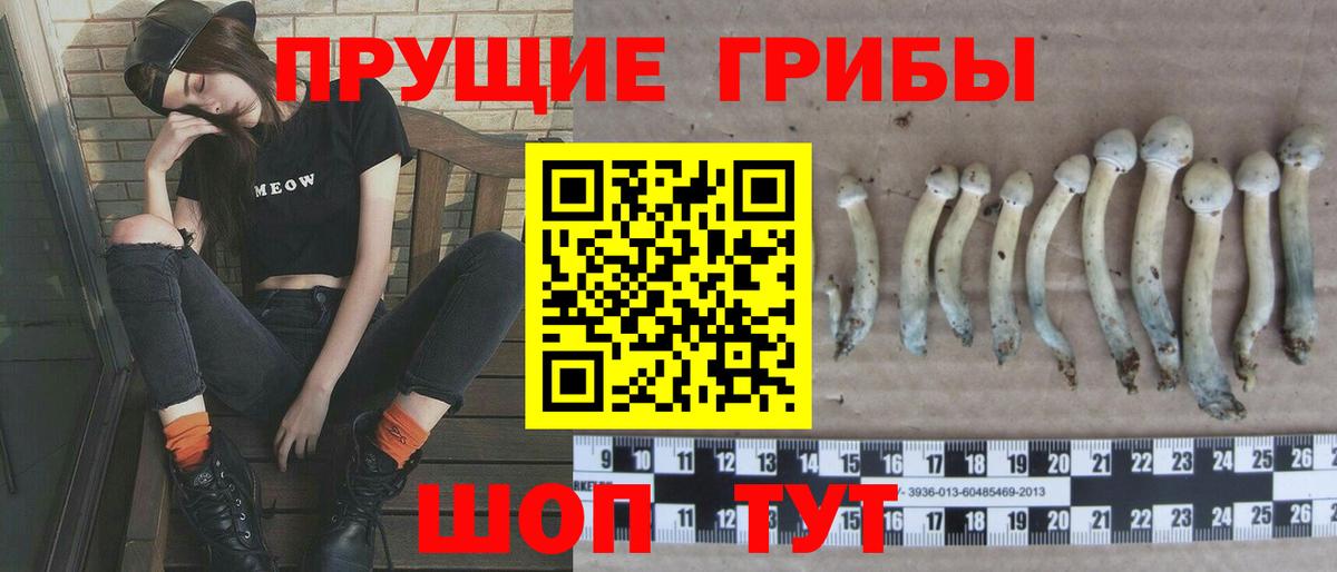 Галлюциногенные грибы прущие грибы  Галлюциногенные грибы прущие грибы  Вход с VPN  Москва 